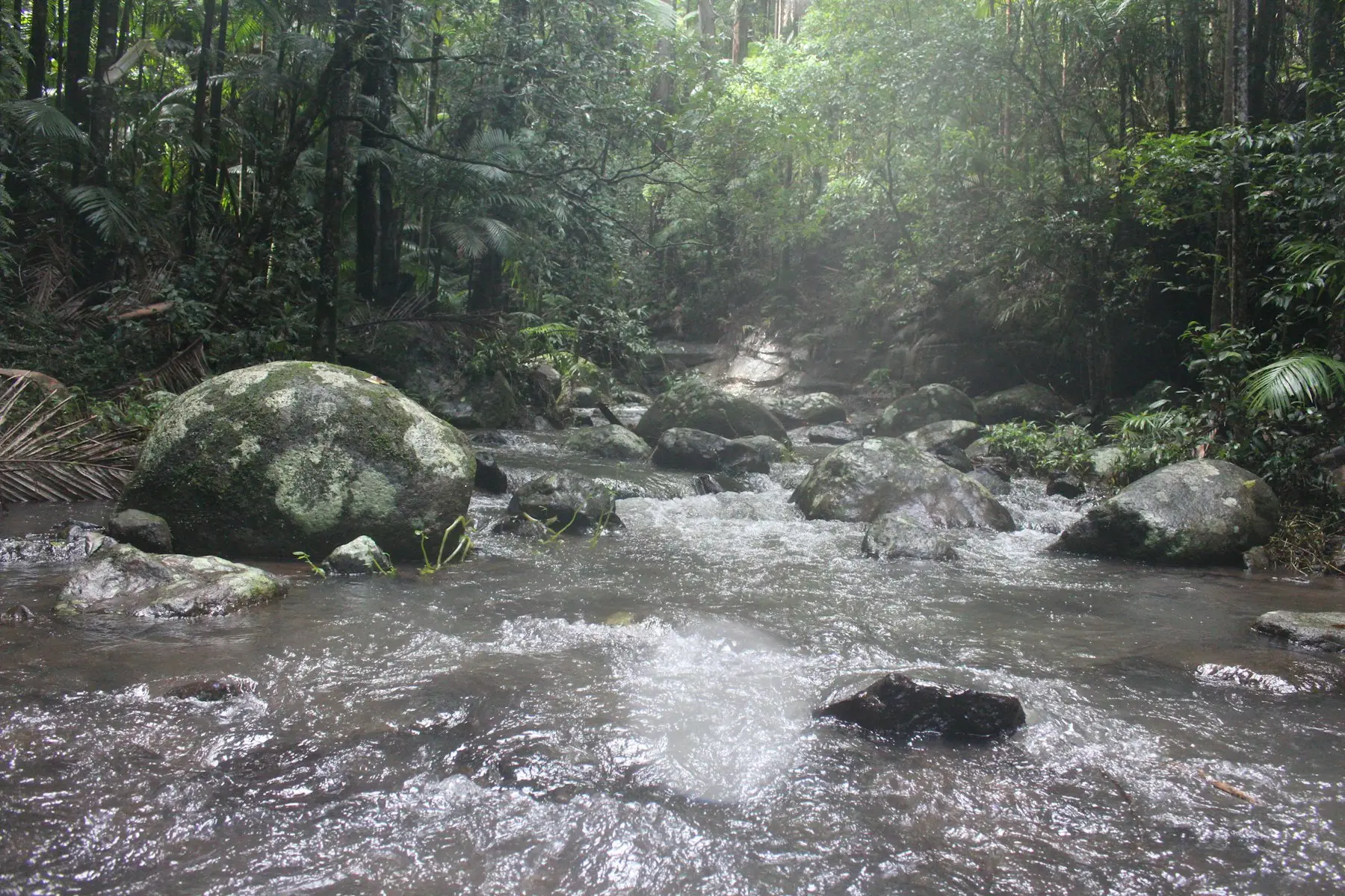 Sunlight falling on a rocky creek in the rainforest