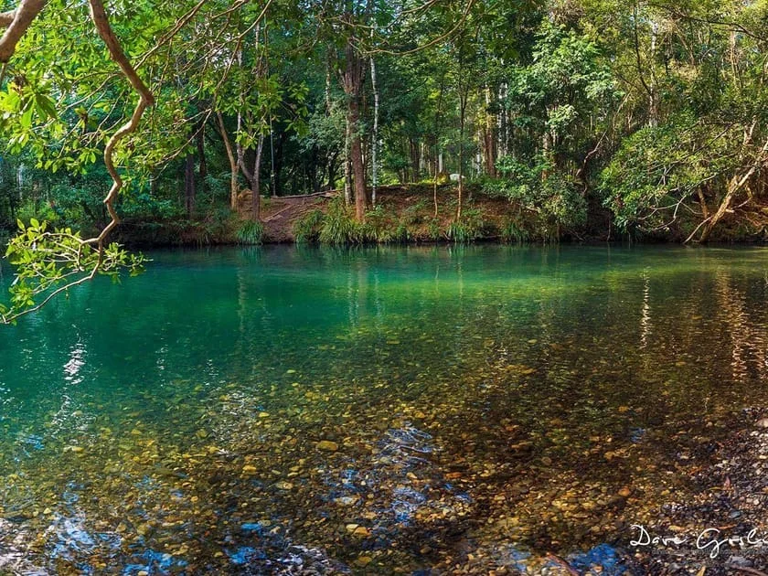 Never Never Creek
